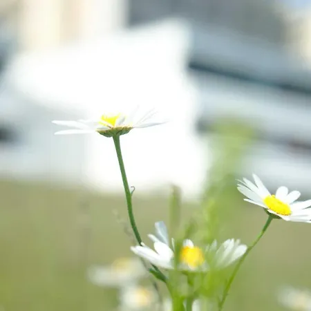 057 _ 3_raum_fewo _ _ Apartament